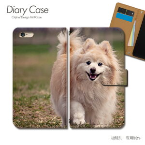 arrows We P[X 蒠^ F-51B q Ck  ybg |jA X}zP[X 蒠^ X}zJo[ X}z P[X 蒠 gуP[X e029903_02 ʉ摜 A[Y [ xm