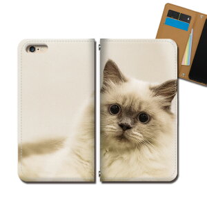 Xperia 5 II XQ-AS42 X}z P[X 蒠^ xgȂ L lR ˂  Aj} X}z Jo[ ˂摜 eb29301_03