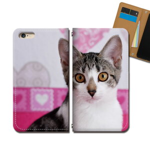 Xperia 5 II XQ-AS42 X}z P[X 蒠^ xgȂ L lR ˂  Aj} X}z Jo[ ˂摜 eb29302_02