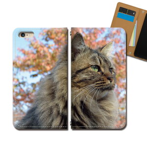 OPPO Reno5 A A101OP �X�}�z �P�[�X �蒠�^ �x���g�Ȃ� �L �l�R �˂� ���� �A�j�}�� �X�}�z �J�o�[ �˂��摜 eb29303_04