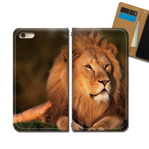 Xperia Ace II SO-41B X}z P[X 蒠^ xgȂ CI Sb̉  Aj} X}z Jo[  eb30003_03