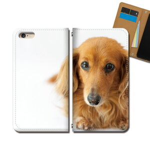 Xperia 5 II A002SO �X�}�z �P�[�X �蒠�^ �x���g�Ȃ� �� �C�k ���� �~�j�`���A�_�b�N�X �X�}�z �J�o�[ ���ʉ摜 eb30702_02