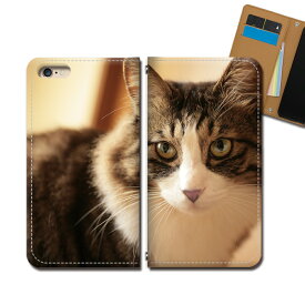 Galaxy Note20 Ultra 5G SCG06 スマホケース 手帳型 ベルトなし 猫 ねこ ネコ にゃんこ 動物 ペット 癒し スマホ カバー 猫 バンドなし マグネット 手帳 携帯ケース eb36504_01 ギャラクシー ぎゃらくしー のーと