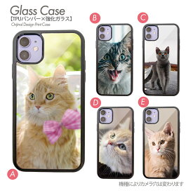 スマホケース ねこ ハードケース 猫 にゃんこ キャット ペット ネコ 携帯ケース カバー iPhone 15 iPhone15Pro iPhone14 iphoneSE 第3世代 iPhone13 iPhone8 強化ガラスとTPUのハイブリッドケース b028702