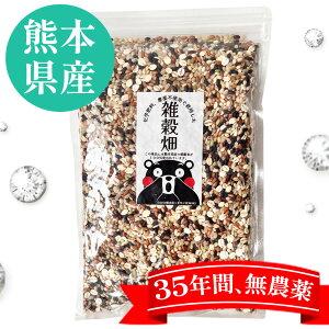 yzY@GEGā@35Nȏ㖳_Ew엿sgpEF{YG 550g