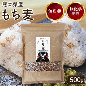 有機栽培の国産もち麦500g 35年無農薬・化学肥料不使用の畑で栽培 熊本県産