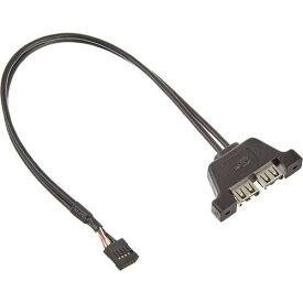 DESKMINI 2XUSB2.0 CABLE/BULK
