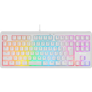 RACEN CRC-GMBKRGB02-WT L {zeL[X u Q[~OL[{[h zCg