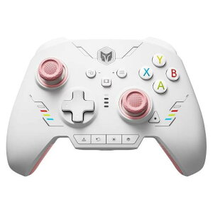 RAINBOW 2 SE Pink L/ Ή Q[Rg[[