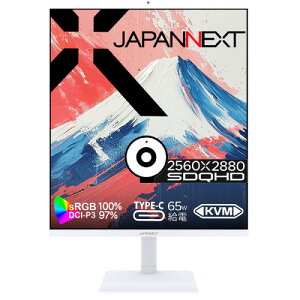 JN-IPS276SDQHD-HSPC6-CMS 27.6インチ SDQHD(2560x2880) 液晶モニター