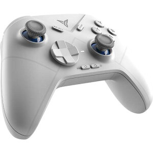 DIRE WOLF3 L/USB/BluetoothΉ Q[Rg[[ PC/Switchp