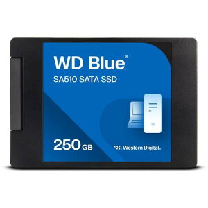 WDS250G3B0A �m2.5�C���`����SSD / 250GB / WD Blue SA510 SATA SSD 2.5�C���`�V���[�Y / �������K�㗝�X�i�n