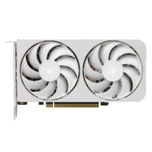 RD-RX9060XT-E16GB/WHITE/DF