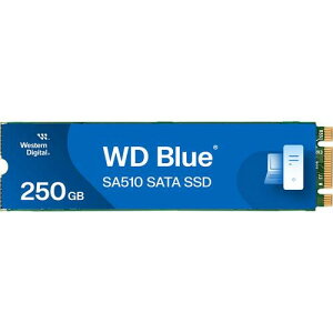 WDS250G3B0B mM.2 SATAΉ SSD / 250GB / WD Blue SA510 SATA SSDV[Y / K㗝Xin