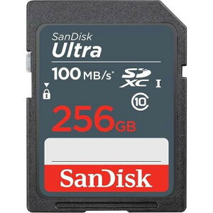 SDSDUNR-256G-GN3IN [256GB / SDXC UHS-I / Class10]