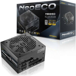 NE850 PLATINUM ATX 3.1