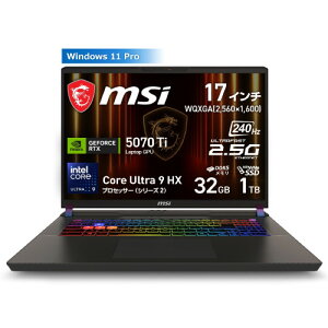 �Q�[�~���O�m�[�g Vector-17-HX-AI-A2XWHG-6369JP [17�^ /Core Ultra 9 275HX /RTX5070Ti /RAM:32GB /SSD:1TB /Windows 11 Pro /�R�X���X�O���C]