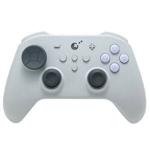 TT MAX Controller�@NS69R Retro