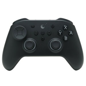 TT MAX Controller�@NS69B Black