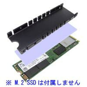 SS-M2S-HS01