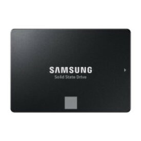 SAMSUNG サムスン SSD 870 EVO　MZ-77E1T0B/IT [2.5インチ内蔵SSD / 1TB]