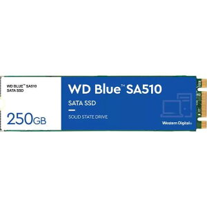 WDS250G3B0B mM.2 SATAΉ SSD / 250GB / WD Blue SA510 SATA SSDV[Y / K㗝Xin