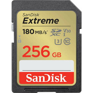 SDSDXVV-256G-GNCIN m256GB / SDXC UHS-I / őǂݍݑx180MB/s / Class10n