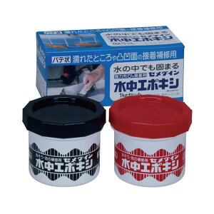 yzZ_C(Cemedine) ͏[Ăڒ G|LV 1kgZbg AP-001