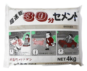 yzƒ뉻w 30Zg O[ 4kg