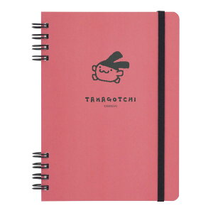 ܂ A6m[g ݂݂ KNO-TM4