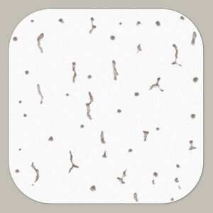 y|CgD҃Ly[zyubNtCf[N[|pŊzyzqTS VV[ Wvg[ 140X140mm V C B GB4000 10V[g