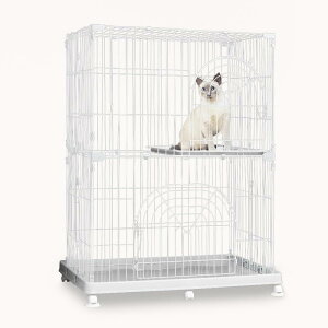 yzACXvU L P[W RpNg IWiybgP[W 2i zCg LX^[t 121×93×s63cm