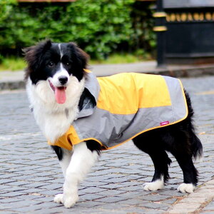 Umora 犬用レインコート カッパ 雨具 通気 帽子付 散歩用 小型犬 中型犬 大型犬(オレンジ+グレー XXL)