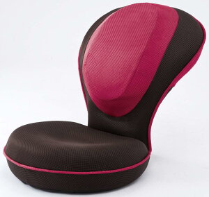 yzPROIDEA vCfA w؂GUUUNp֎q (sN)