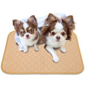 yN[|p5%OFFzyzINULABO(Ck{) 􂦂 ybgV[c M[ }bg ybg}bg ۂƐ􂦂 JԂg yNԂ̕ωɋCÂz (M