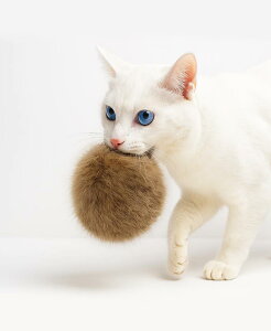 HOLYCAT L  {[ L̂ RR VR F VRrbgt@[ы ŋۍς ӂӂ_炩 傫߃TCY É݌v Ԃɓɂ ^s XgXy Le 