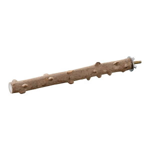 yN[|p5%OFFzyzWFbNX łڂp[`25 pƂ܂ KxȉʂłƂ܂₷ VR 25cm