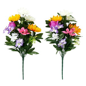 ACfBA(Aimedia) Edp  2g     _I  Q ~ ފ c 45cm
