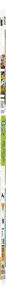 pi\jbN [djbPfdr(R[hXdb) BK-T402