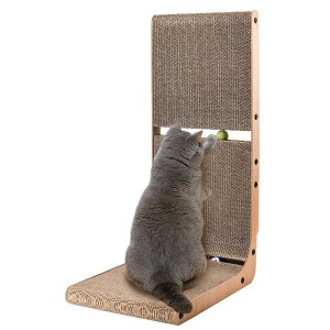 AUSCAT L ܌ i{[ KKEH[ L^L ߂Ƃ {[t c^ H69cm
