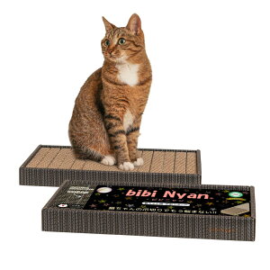 bibi Nyan ܐ؂sv̒܂Ƃ{[h L { ʎgp X XgX _{[ Sy ˂ ߂Ƃ ܌ lR rrj 1