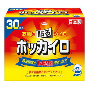 【送料無料】ホッカイロ 貼る レギュラー 30個入