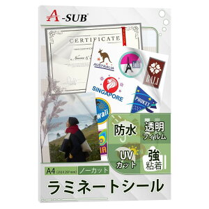 A-SUB ~l[gV[ 10 Jo[tBV[ یV[ S \ NA  h UVJbg A4
