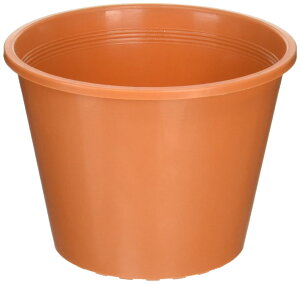 yzavX`bN E|bg v 6 190×H144 uE