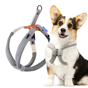 yzCROWN KONIpn[lX h~ ɒȂ ȒPE P݌y NCbNvTCY ^^p s⏕p p Up \tgŉKȃNbVt (