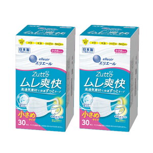 剤 }XN { sDz}XN ɂ ʋC 򖗑΍ ԕ pm2.5 99JbgtB^[ nCp[ubN}XN u 30 2Zbg () zCg