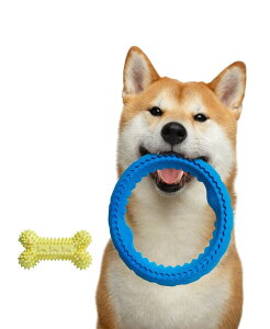 HOLYCAT    ނ tXr[ ^ ^ ^ tCOfBXN d  ɂ  ւ O   邨 V ϋv  