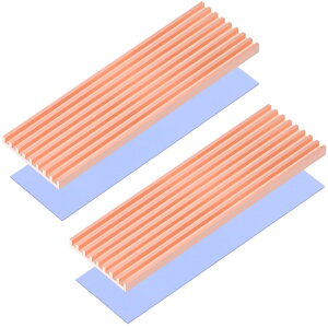 Raonlla  M.2 SSD q[gVN M\ 2280 M2 SSD q[gVN T[}pbht (2)