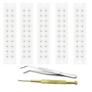 yzHueapion ڃWG[ c{V[ 100 c{WG[  ڃV[ ڃWG[ V[ V[ c{V[ `^ sZbg⎨ڃXeBbNt