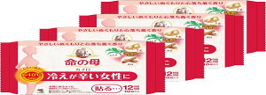 【送料無料】【まとめ買い】 桐灰カイロ 命の母 カイロ 衣類に貼るタイプ ぬくもりとほのかな香りで心落ち着く 10個入×4個